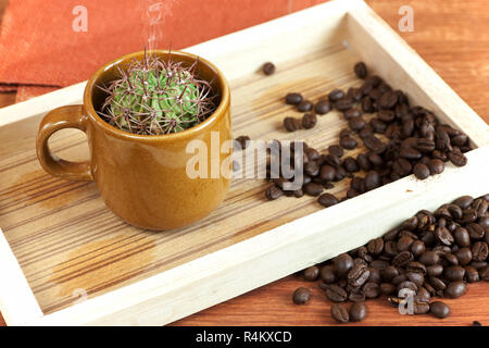 Kaktus in Kaffee Tasse Stockfoto