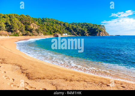 Costa Brava, Spanien. Strand von Cala Canyelles zwischen Lloret und Tossa. Stockfoto