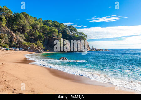 Costa Brava, Spanien. Strand von Cala Canyelles zwischen Lloret und Tossa. Stockfoto
