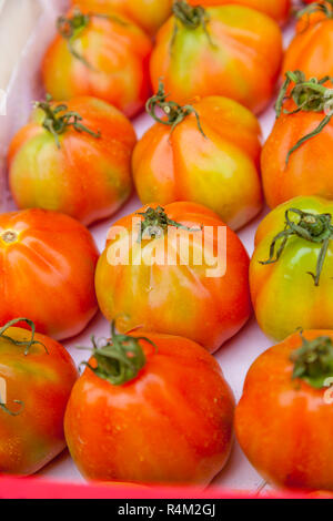 Oxheart Tomaten aus Ligurien genannt Cuore di Bue am Marktstand. Stockfoto