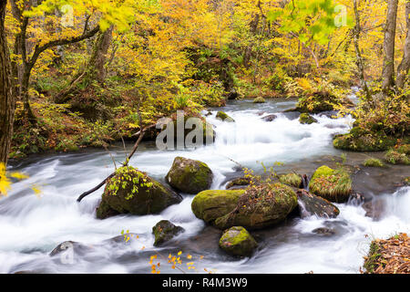 Oirase Bergbach im Herbst Saison Stockfoto