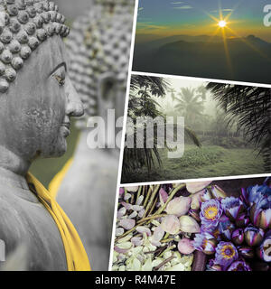 Collage der schönsten und atemberaubenden Orten in Sri Lanka - meine Fotos Stockfoto