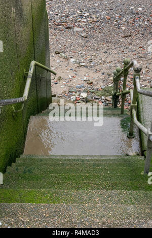 Algen bedeckt Schritte bei Ebbe, die zu einem Strand an der Themse im Zentrum von London. Stockfoto