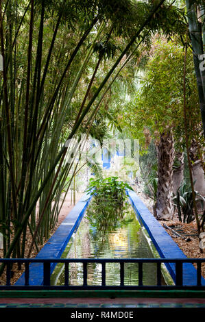 18-04-11. Marrakesch, Marokko. Die Majorelle Garten (Jardin Majorelle,) ist eine zweieinhalb Hektar großen botanischen Garten und Landschaft Garten. Foto Stockfoto