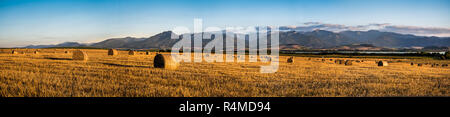 Harvested Field with Hay Bales in Golden Evening Light Under Low Tatras Mountains, Slovakia Stockfoto