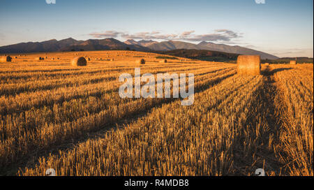 Harvested Field with Hay Bales in Golden Evening Light Under West Tatras Mountains, Slovakia Stockfoto