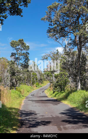 Hawaii Volcanoes National Park, Hawaii - Die one-lane Hilina Pali Straße. Stockfoto