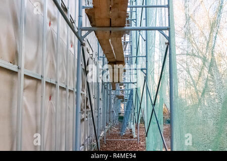Baustelle Restaurierungsarbeiten an der Sanierung der alten Fassade des Gebäudes der sowjetischen Zeiten. Stockfoto