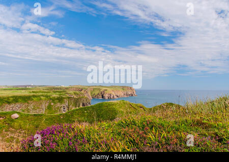 Bullers von buchan bezieht sich auf ein reduziertes Wasserhöhle, etwa 6 Meilen südlich von Peterhead in Buchan, Aberdeenshire, Schottland gelegen. Stockfoto