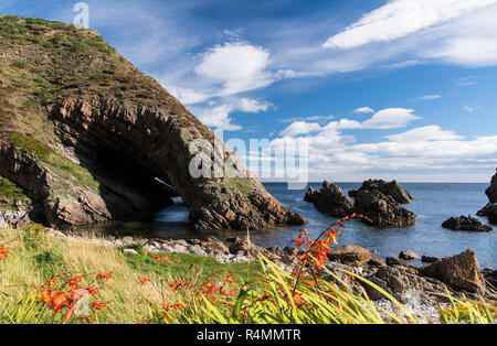 Bogen Geige Rock ist ein natürlicher See arch in der Nähe von portknockie Auf der nord-östlichen Küste von Schottland. Stockfoto