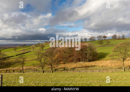 Blick auf die Landschaft vom Teggs Nose Country Park, Macclesfield, Cheshire, England, Großbritannien Stockfoto