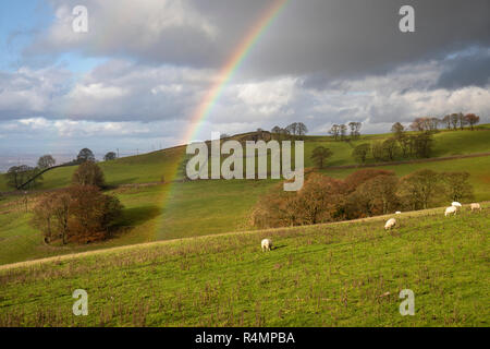 Rainbow im TEGG's Nose Country Park, Macclesfield, Cheshire, England, Großbritannien Stockfoto
