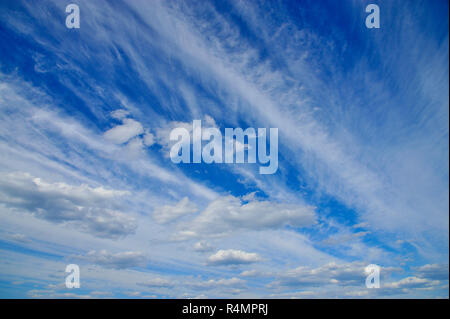 Weiße Wolkenformationen auf blauem Himmel in ländlichen Alberta, Kanada. Stockfoto