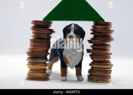 Hund im eigenen Haus auf Stapel von Münzen auf der Grundlage Stockfoto