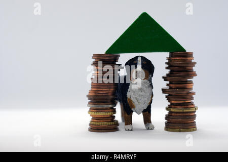 Hund im eigenen Haus auf Stapel von Münzen auf der Grundlage Stockfoto