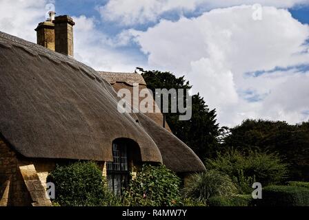 Strohdach der traditionellen Cotswolds Stein Reetdachhäuser Stockfoto