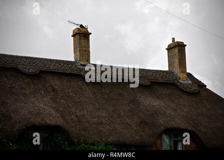 Strohdach der traditionellen Cotswolds Stein Reetdachhäuser Stockfoto