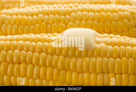 Nahaufnahme von Butter schmelzen auf Maiskolben Stockfoto