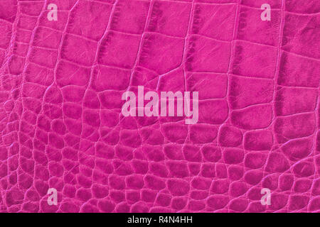 Textur des Rosa Lila aus echtem Leder, Nahaufnahme, mit geprägtem Skalen Reptilien, Fashion Trend Stockfoto