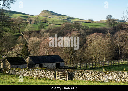 In den Yorkshire Dales vereinbaren mit einer weiblichen Hill Walker in der Nähe der Ortschaft Stainforth Stockfoto