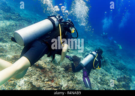 Zwei Taucher Tauchen in tropischen Meer reef Stockfoto