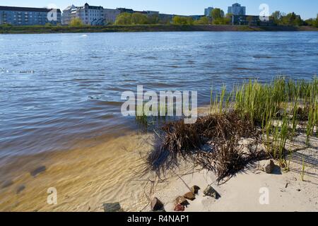 An den Ufern der Elbe in der Nähe von Magdeburg. Stockfoto