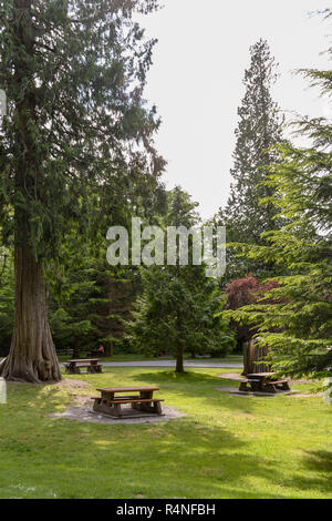 BRITISH COLUMBIA, KANADA - JUNI 2018: Malerische Aussicht auf Picknick-bänken in den Shannon Falls Provincial Park, eine touristische Attraktion in der Nähe von Squamish, British Columbia. Stockfoto