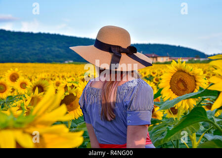 Das Mädchen steht mit dem Rücken zur Kamera im Feld mit Sonnenblumen im Sommer Stockfoto
