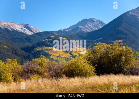 Goldene Espen Farbe die Flanken der Twin Lakes, westlich von Granit auf Colorado State Highway 82 und einer der Höhepunkte der Staaten der Rockies Scenic Byway, Lake County, Colorado, USA Stockfoto