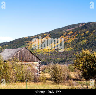 Goldene Espen Farbe die Flanken der Twin Lakes, westlich von Granit auf Colorado State Highway 82 und einer der Höhepunkte der Staaten der Rockies Scenic Byway, Lake County, Colorado, USA Stockfoto