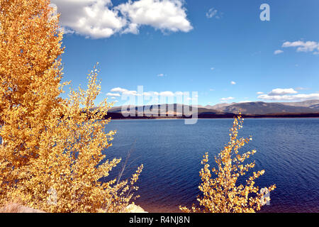 Einen malerischen Blick auf den türkisfarbenen See und Bäume im Herbst, Leadville, Lake County, Colorado, USA Stockfoto