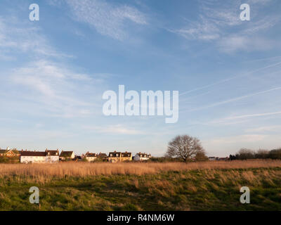 Schöne beeindruckende Schilf, wie die Sonne untergeht, am Nachmittag und am Abend mit Bäumen blauer Himmel Wolken und goldenen Farbtönen und Farben Stockfoto