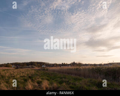 Schöne beeindruckende Schilf, wie die Sonne untergeht, am Nachmittag und am Abend mit Bäumen blauer Himmel Wolken und goldenen Farbtönen und Farben Stockfoto