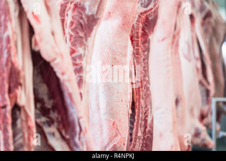 Schwein Schweine Metzgerei zur Verarbeitung bereit. Stockfoto