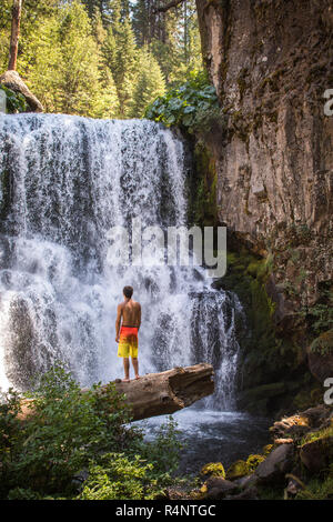 Ansicht der Rückseite des einzelnen jungen Mann in Badehose gegen Wasserfall stehen, McCloud River, Kalifornien, USA Stockfoto