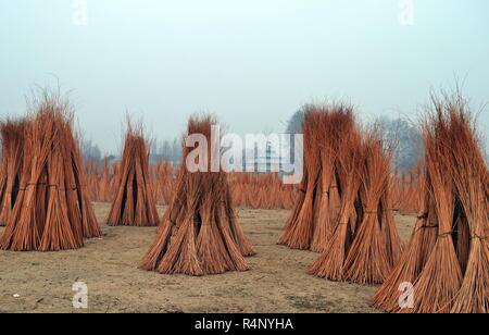 Srinagar, Jammu und Kaschmir, Indien. 27 Nov, 2018. Geschälte withies Sticks für Sonne Trocknen, die in die feuertopf (Kangir) in der Nähe von Srinagar im Sommer, die Hauptstadt der indischen Teil Kaschmirs gesteuert verwendet werden. Kangri ist ein Irdenes tragen, die von Menschen in Kaschmir sind vor allem im Winter genutzt, um sich warm zu halten. (Bild: © Masrat Zahra über ZUMA Draht) Stockfoto