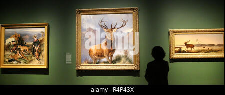 National Gallery. London, Großbritannien. 28 Nov 2018 - eine Frau sieht eine Öl-auf-Leinwand Gemälde eines Red deer Hirsch im Jahre 1851 durch den englischen Maler Sir Edwin Landseer" abgeschlossen. Die Monarch der Glen (um 1985) ist eine der bekanntesten britischen Bilder des neunzehnten Jahrhunderts; für viele Menschen ist es die Größe und die Majestät der ScotlandÕs Hochland und Wildlife kapselt. Credit: Dinendra Haria/Alamy leben Nachrichten Stockfoto