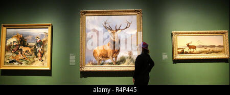 National Gallery. London, Großbritannien. 28 Nov 2018 - eine Frau sieht eine Öl-auf-Leinwand Gemälde eines Red deer Hirsch im Jahre 1851 durch den englischen Maler Sir Edwin Landseer" abgeschlossen. Die Monarch der Glen (um 1985) ist eine der bekanntesten britischen Bilder des neunzehnten Jahrhunderts; für viele Menschen ist es die Größe und die Majestät der ScotlandÕs Hochland und Wildlife kapselt. Credit: Dinendra Haria/Alamy leben Nachrichten Stockfoto