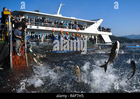 Hangzhou, China Zhejiang Provinz. 28 Nov, 2018. Besucher eine riesige - Angeln watch-net Ernte auf dem Qiandao Lake in Hangzhou, der Hauptstadt der ostchinesischen Provinz Zhejiang, Nov. 28, 2018. Mehr als 30 Fischer nahmen an einem Hugh - Angeln - net Ernte hier am Mittwoch. Credit: Huang Zongzhi/Xinhua/Alamy leben Nachrichten Stockfoto