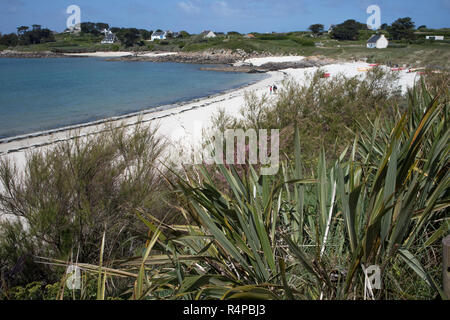 Ile de Batz Stockfoto