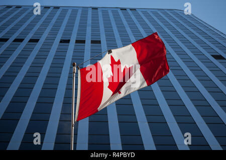 Kanadische Flagge vor ein Geschäftsgebäude in Ottawa, Ontario, Kanada. Ottawa ist die Hauptstadt von Kanada, und einer der wichtigsten wirtschaftlichen, politica Stockfoto