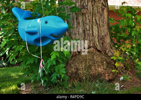 Abgebrochene schmutzig rundown Dolphin kids Swing im Vorgarten Stockfoto