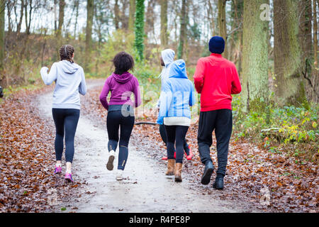 Fitness Trainer Führung Gruppe von vier entschlossene junge Leute beim Joggen im Wald Stockfoto