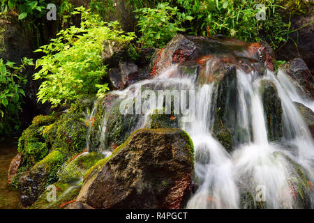 Quelle der Shirakawa Fluss, Präfektur Kumamoto, Japan Stockfoto