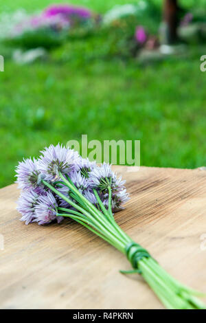 Blume-Schnittlauch gebunden in ein Snop auf ein natürliches Holz Schneidebrett Stockfoto