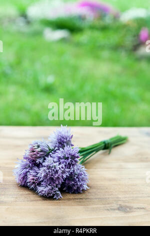 Blume-Schnittlauch gebunden in ein Snop auf ein natürliches Holz Schneidebrett Stockfoto