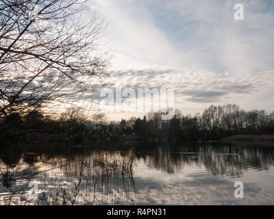 Sunsetting über einen See mit Schilf und Enten Stockfoto