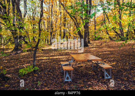 Klappbarer Picknick Tisch in den Wald Stockfoto