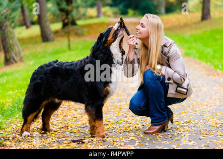Frau und Hund an Abrufen stick Spiel Stockfoto