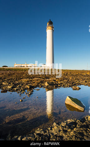 Scheunen Ness Lighthouse, East Lothian, Schottland. Das Gebäude ist in einem Rock Pool wider. Stockfoto